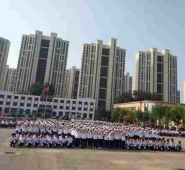 http://m.feixuegongzhu.com/school-183/document-id-152.html