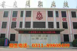 http://m.feixuegongzhu.com/school-183/document-id-301.html