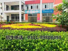 http://m.feixuegongzhu.com/school-161/document-id-323.html