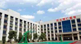 http://m.feixuegongzhu.com/school-192/document-id-522.html